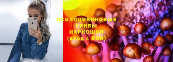 спиды Костерёво