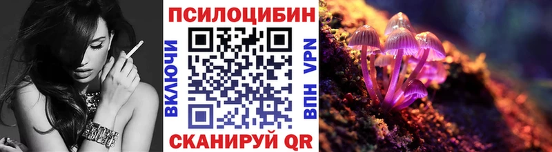 Галлюциногенные грибы Psilocybine cubensis  Междуреченск 