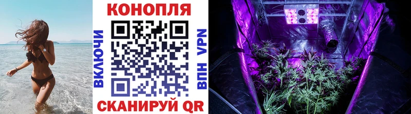 Каннабис ГИДРОПОН Междуреченск